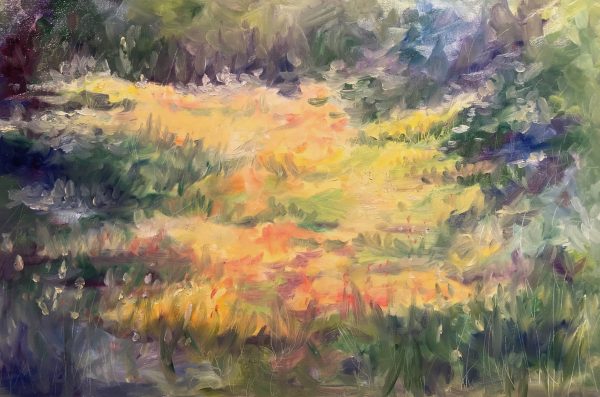 Meadow