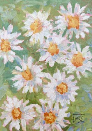 Daisies in the Sun